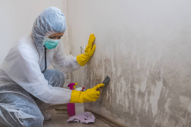 Best Mold Testing  in Corona, CA