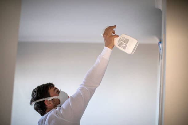 Best Fast Mold Removal  in Corona, CA