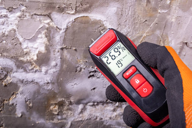 Office Mold Removal Services in Corona, CA