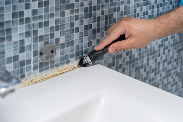 Best Attic Mold Removal  in Corona, CA